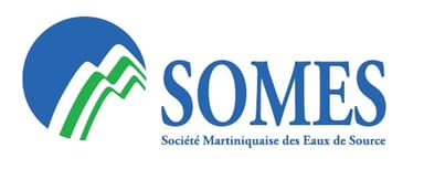 SOMES